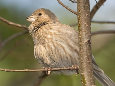 During a brief moment when it wasn`t raining.