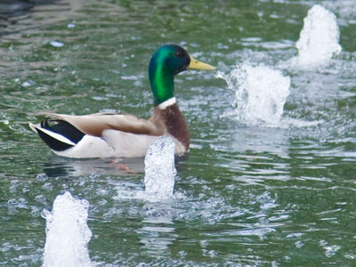 You can tell this one was taken in the city.