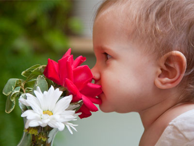 A multisensory experience with a flower.