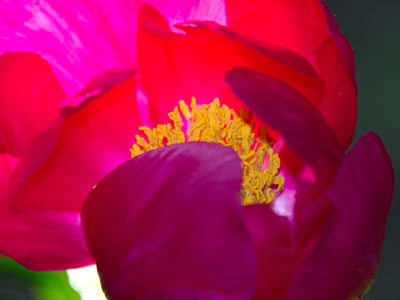 Light and color.  That`s all it takes.