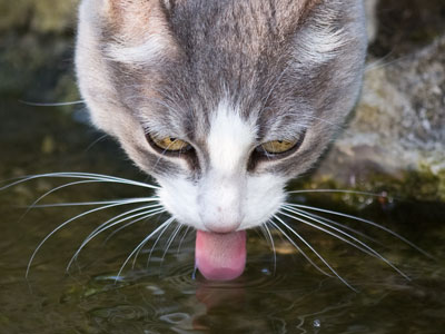 Now I`m being followed.