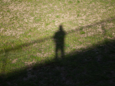 I went out early this morning to take pictures.