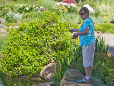 Cast thy bread upon the waters. ECCLESIASTES 11:11  Please do not feed the wildlife.  METROPARKS POLICY