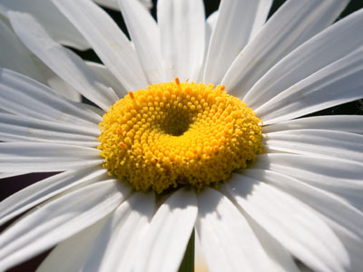 Give me your answer, do.