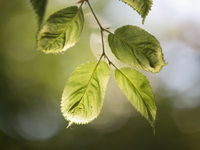 While you were driving to work, this happened.