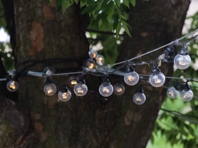 Another few days and they`ll be ripe enough to pick.