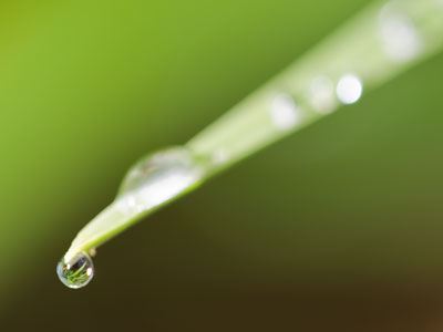 A Saturday morning in the springtime, alone in a garden park, nobody there but me and nature.  Life is good.