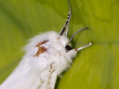 Did you see that movie `The Neverending Story`?