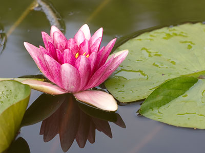 One of these days I`m going to fall in.