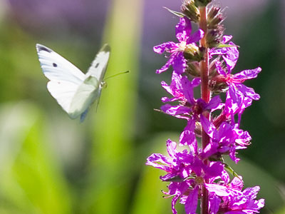 There was a bit of luck involved here.