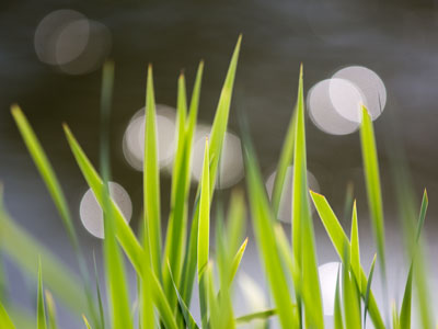 I`m copying myself (see June 28, 2015).