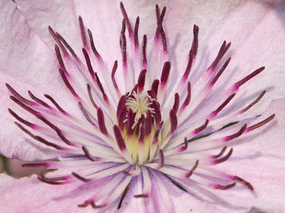 Beauty and brevity go hand in hand.