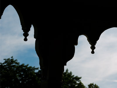 Greeting the morning.