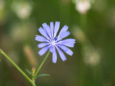 Of course, the wind started blowing at this moment.