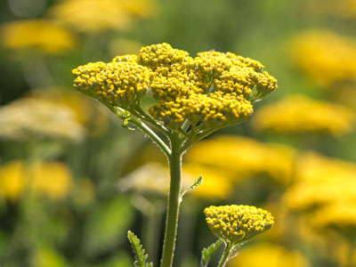 The view from the top.