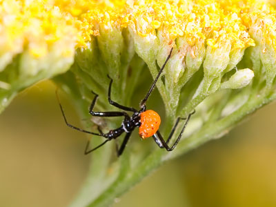 The view from underneath.