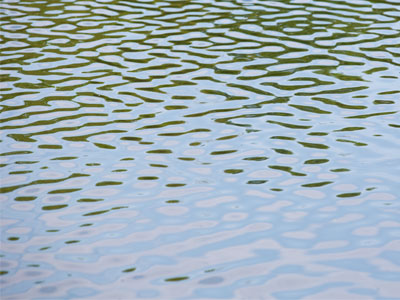 He thought that if he stood on the bottom rail of the bridge, and leant over, and watched the river slipping slowly away beneath him, then he would suddenly  know everything that there was to be known. A. A. MILNE