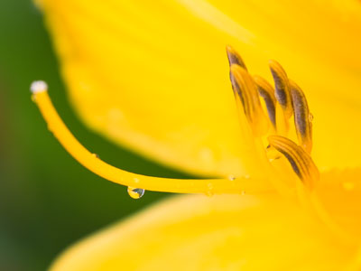 LOOK! Nothing on your phone can compete with reality.