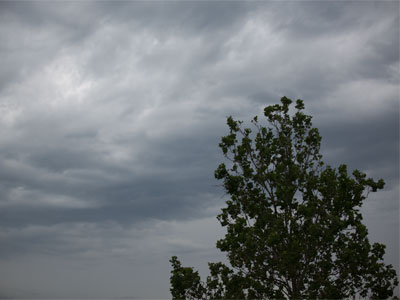 With an umbrella in my pocket, I venture forth bravely.