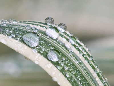 The most important substance on earth.