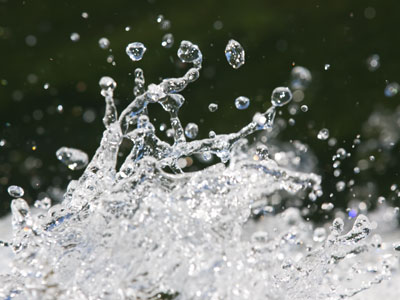 A few ounces of Eastwood Lake.
