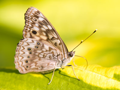 Soaking up the summer sun.