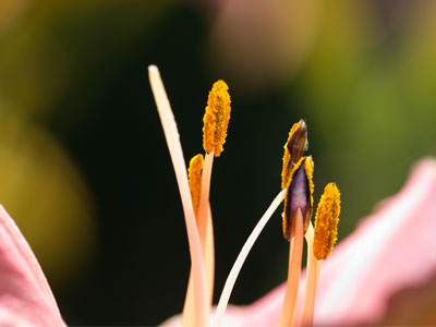 This was much harder than it looks.