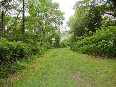 Like Robert Frost, I took an unknown path this morning -- and that has made all the difference.