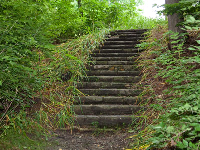 I can`t be bothered with sorrow and I can`t be bothered with hate.  I`m using up my time feeling fine every day!  DINO FEKARIS AND NICK ZESSES