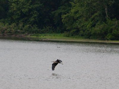 There was not another human being anywhere around.