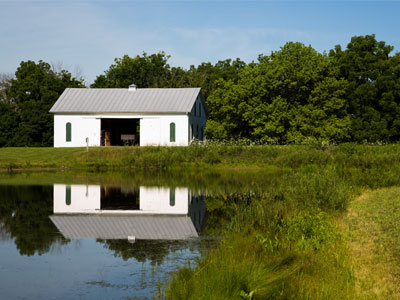Morning on the farm.