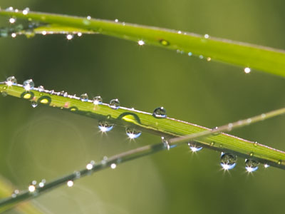 Are you glistening to me?