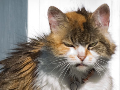 Monday morning face.