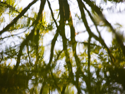 Claude Debussy `Reflets dans l`eau` 1905. Listening to it now . . . 