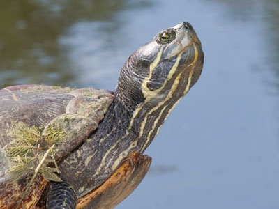 Not everybody likes having their picture taken.