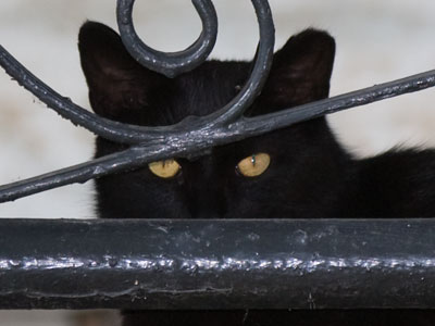 Reminiscent of November 1, 2009.