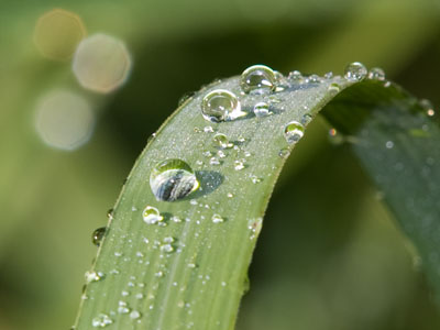 My first challenge is to find the scenes to photograph, and the next is to capture them in a compelling way.