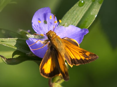 There`s nobody else in the world, and the world was made for me.  A. A. MILNE