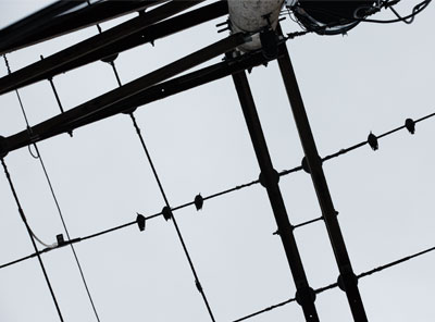 Things are looking up.