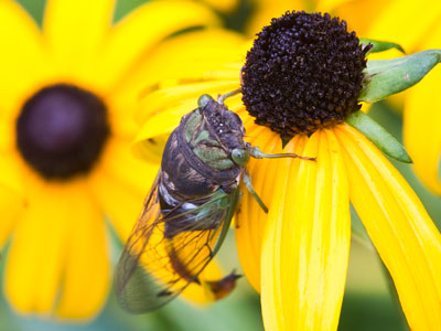 Has it been 13 years already (see June 8, 2004)?