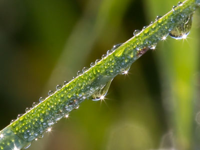 I`m becoming more convinced that nature will give you everything you need to live for free if you only look for it.