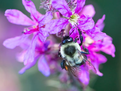 No watch, no phone, no people.