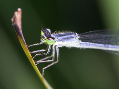 Listening and looking for the subtle clues pointing to my next photograph.