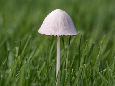 Capturing images today of beautiful things that may be gone tomorrow.