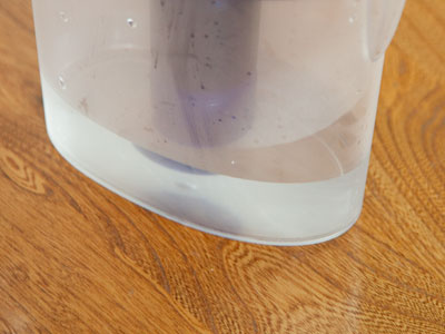 And I had some of this.