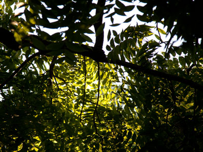 Staggering outside to the porch, things are looking up.