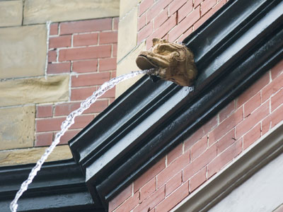 It`s been rainy lately.