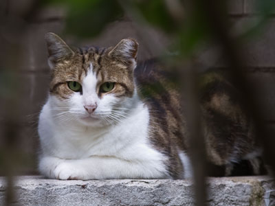 Enduring those long, tortured hours between meals.