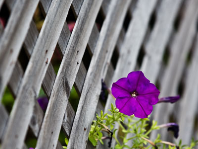 And then it started to rain.