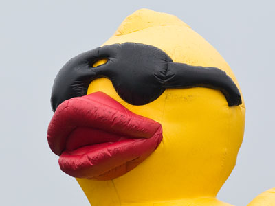 Your daily bird photo.